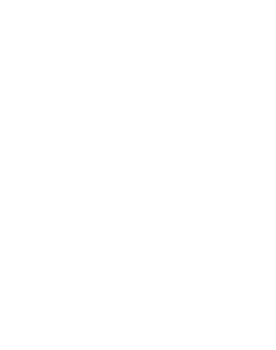 All Way gecko logo